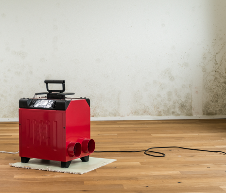 Osuszanie murów – kiedy jest konieczne i komu warto je zlecić?