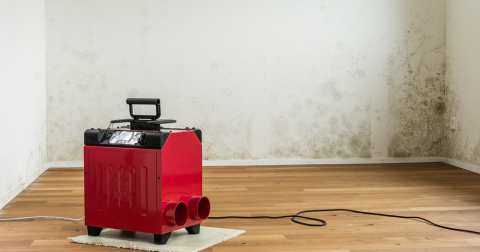 Osuszanie murów – kiedy jest konieczne i komu warto je zlecić?